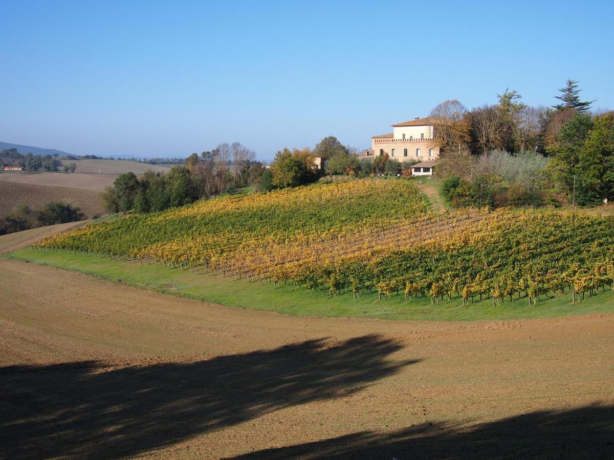 Agriturismo Poggiarellino - Montalcino Exteriör bild