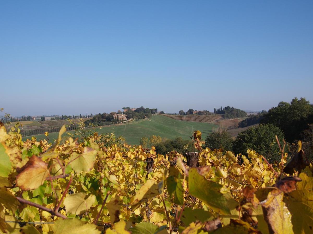 Agriturismo Poggiarellino - Montalcino Exteriör bild