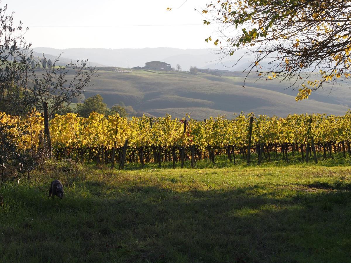 Agriturismo Poggiarellino - Montalcino Exteriör bild