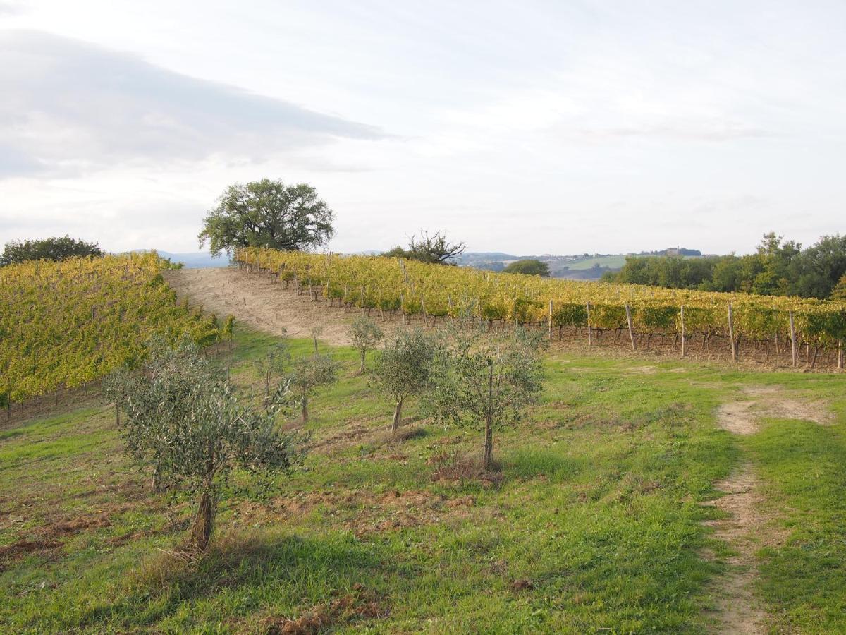 Agriturismo Poggiarellino - Montalcino Exteriör bild